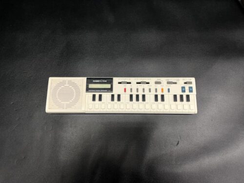 CASIO VL-TONE VL-1 - USATO