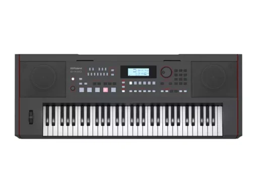 ROLAND E-X50