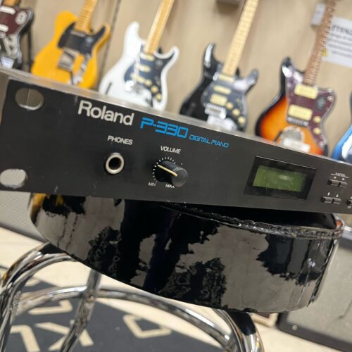 ROLAND P-330 - USATO